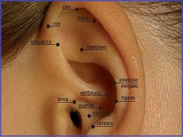 Auriculoterapia Acupuntura Auricular Auriculopuntura Vico