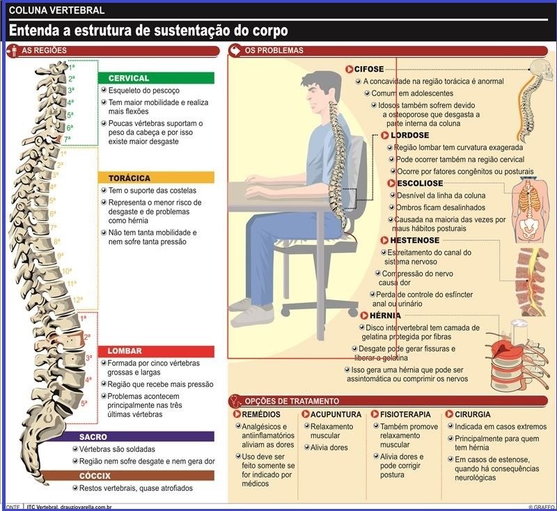 Coluna Vertebral - Entenda a estrutura de sustenção do corpo - Vico Massagista - Tratamento para dor lombar, na coluna, costasm torcicolo, ombro e pescoço.