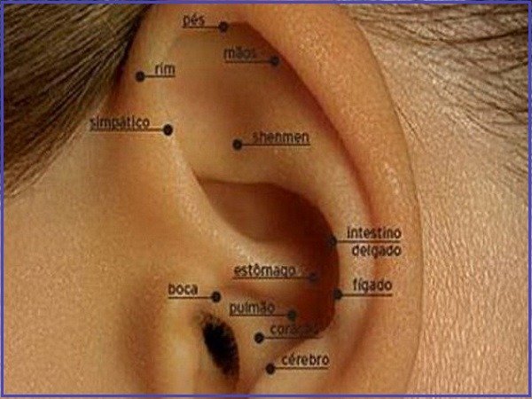 Auriculoterapia, Acupuntura Auricular, Auriculopuntura - Vico Massagista, São José SC - O que você precisa saber sobre Auriculoterapia, benefícios, indicações