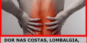Massagem terapêutica para dores nas costas em São José SC - Tratamento e alívio da dor: nervo ciático, dor nas costas, dor na coluna, dor lombar, torcicolo, hérnia de disco, dor no ombro, dor no pescoço, nevralgia, dor no joelho, dor no pescoço. Vico Massagista e Quiropraxia, São José SC, Massagem e Quiropraxia - profissional com mais de 29 anos de experiência e atuação na área de recuperação física, tratamento e alívio da dor. Local de Atendimento: Rua Arnoldo Bonckewitz, 29 - centro, São José (SC)