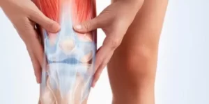 Massagem para dor no joelho: como o terapeuta Vico Massagista e Quiropraxia pode te ajudar Você sofre com dor no joelho? Essa é uma queixa muito comum entre pessoas de todas as idades, especialmente entre atletas, esportistas e corredores. A dor no joelho pode ter diversas causas, como entorse, lesão no menisco, rompimento dos ligamentos, artrose, cisto, alteração na patela ou tendinite. Em alguns casos, a dor no joelho pode ser tão intensa que atrapalha as atividades diárias e a qualidade de vida. Mas você sabia que existe uma forma natural e eficaz de aliviar a dor no joelho? Estamos falando da massagem terapêutica, uma técnica milenar que utiliza a manipulação dos tecidos moles do corpo para promover o relaxamento muscular, a circulação sanguínea, a redução do inchaço e a liberação de endorfinas, que são os hormônios do bem-estar. Neste artigo, vamos explicar como a massagem para dor no joelho funciona, quais são os seus benefícios, indicações e resultados esperados. Além disso, vamos apresentar o trabalho do terapeuta Vico Massagista e Quiropraxia, um profissional com mais de 30 anos de experiência no tratamento e alívio das dores, que atende em São José (SC) com diversas modalidades de massagem e quiropraxia. Acompanhe! Como funciona a massagem para dor no joelho? A massagem para dor no joelho consiste em aplicar pressão e movimentos suaves sobre a região afetada, usando as mãos ou instrumentos específicos. O objetivo é estimular os pontos de acupuntura, os nervos, os músculos e as articulações do joelho, melhorando o seu funcionamento e equilíbrio. A massagem para dor no joelho pode ser feita com óleos ou pomadas anti-inflamatórias, que potencializam o efeito da técnica. Alguns exemplos são o cataflan, o relmon gel ou o calminex. Esses produtos devem ser aplicados na pele até que sejam completamente absorvidos. A duração e a frequência da massagem para dor no joelho dependem da avaliação do terapeuta e da necessidade de cada paciente. Em geral, recomenda-se fazer pelo menos uma sessão por semana, durante um período de um a três meses. Quais são os benefícios da massagem para dor no joelho? A massagem para dor no joelho traz vários benefícios para a saúde física e mental do paciente. Veja alguns deles: - Alivia a dor e o desconforto no joelho; - Diminui a inflamação e o edema na articulação; - Melhora a mobilidade e a flexibilidade do joelho; - Previne o surgimento de novas lesões ou o agravamento das existentes; - Aumenta a resistência e a força muscular do joelho; - Favorece a cicatrização dos tecidos lesionados; - Estimula a produção de líquido sinovial, que lubrifica o joelho; - Melhora a circulação sanguínea e linfática na região do joelho; - Elimina as toxinas e os resíduos metabólicos do organismo; - Relaxa os músculos tensos e contraídos do joelho; - Libera endorfinas, que geram sensação de prazer e bem-estar; - Reduz o estresse e a ansiedade relacionados à dor no joelho; - Melhora a autoestima e a confiança do paciente. Para quem é indicada a massagem para dor no joelho? A massagem para dor no joelho é indicada para pessoas de todas as idades que sofrem com essa condição. Ela pode ser usada como uma forma de prevenção ou tratamento complementar da dor no joelho, associada a outras medidas como uso de medicamentos, fisioterapia ou cirurgia. A massagem para dor no joelho é especialmente recomendada para atletas, esportistas e corredores, que estão mais expostos a traumas, sobrecargas e desgastes no joelho. A massagem pode ajudar a prevenir lesões, melhorar o desempenho e acelerar a recuperação. Quais são os resultados esperados da massagem para dor no joelho? Os resultados esperados da massagem para dor no joelho variam de acordo com a causa, a intensidade e a duração da dor. Em geral, espera-se que o paciente sinta uma melhora significativa na dor, na inflamação, na mobilidade e na qualidade de vida após algumas sessões de massagem. No entanto, é importante ressaltar que a massagem para dor no joelho não é uma solução milagrosa ou definitiva. Ela deve ser vista como uma terapia complementar, que auxilia no alívio dos sintomas, mas não substitui o tratamento médico adequado. Por isso, é fundamental que o paciente consulte um ortopedista para diagnosticar a causa da dor no joelho e seguir as orientações do profissional. Quem é o terapeuta Vico Massagista e Quiropraxia? O terapeuta Vico Massagista e Quiropraxia é um profissional com mais de 30 anos de experiência no tratamento e alívio das dores. Ele é especializado em quiropraxia, massagem terapêutica, massoterapia e ventosaterapia, além de outras técnicas como shiatsu, do-in, seitai, tuiná e reflexologia. O terapeuta Vico Massagista e Quiropraxia atende em seu consultório em São José (SC), oferecendo um serviço personalizado e de qualidade para cada paciente. Ele utiliza as melhores técnicas e produtos para proporcionar uma experiência única de relaxamento, bem-estar e saúde. Como entrar em contato com o terapeuta Vico Massagista e Quiropraxia? Se você se interessou pela massagem para dor no joelho ou por qualquer outra modalidade de massagem ou quiropraxia oferecida pelo terapeuta Vico Massagista e Quiropraxia, não perca tempo e entre em contato agora mesmo para agendar uma consulta. O endereço do consultório é Rua Arnoldo Bonckewitz, 29 - centro, São José (SC). O telefone é (48) 3094-5746 e o Whatsapp é (48) 98468-7452. O horário de atendimento é de segunda a sexta-feira das 08h00 às 21h00, aos sábados das 08h00 às 14h00. Não deixe a dor no joelho atrapalhar a sua vida. Conheça os benefícios da massagem terapêutica e quiropraxia com o terapeuta Vico Massagista e Quiropraxia e sinta a diferença!