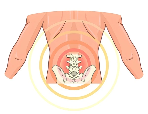 Os benefícios da massagem terapêutica no alívio da dor nas costas: A massagem terapêutica desempenha um papel crucial no alívio da dor nas costas, proporcionando relaxamento muscular profundo, redução do estresse, melhora da postura e do equilíbrio, além de aumentar a flexibilidade e a amplitude de movimento.