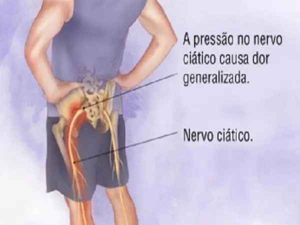 Massagem São José (SC) para dor no ciático com Vico Massagista e Quiropraxia. A dor no ciático é uma condição dolorosa que afeta muitas pessoas em São José (SC) e pode ser causada por diversos fatores, como lesões, hérnias de disco, postura inadequada, entre outros. A massagem tem se mostrado uma abordagem eficaz para aliviar a dor no ciático, proporcionando alívio e melhorando a qualidade de vida dos pacientes. Em São José, Vico Massagista e Quiropraxia oferecem serviços especializados para o tratamento da dor no ciático, utilizando técnicas específicas e personalizadas para cada necessidade.
