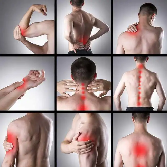 Massagem para dores musculares 1 Massagem para dores musculares em São José SC (grande Florianópolis: São José SC, Florianópolis, Palhoça, Biguaçu, Antônio Carlos SC, São Pedro de Alcântara SC, Santo Amaro da Imperatriz e demais cidades da região) com Vico Massagista e Quiropraxia. Vico Massagista e Quiropraxia, profissional experiente e qualificado, atende em São José SC e oferece: quiropraxia, massagem terapêutica, massoterapia, ventosas, ventosaterapia, massagem relaxante, massagem modeladora, massagem sueca, massagem desportiva, drenagem linfática, liberação miofascial, acupuntura auricular (auriculoterapia), reflexologia, massagem shiatsu, massagem tuiná, massagem seitai, terapias e massagens em São José SC (grande Florianópolis). Vico Massagista e Quiropraxia é profissional com mais de 30 anos de experiência e bons serviços no tratamento e alívio das dores musculares com massagem, massoterapia, quiropraxia e ventosas em São José SC. Dores musculares. Faça Massagem - Centro - São José SC. A massagem para dores musculares é uma técnica terapêutica focada no alívio e tratamento de desconfortos e tensões musculares. Neste resumo detalhado, exploraremos informações sobre a massagem para dores musculares, suas causas, sintomas, benefícios, quando procurar os serviços profissionais do terapeuta Vico Massagista e Quiropraxia, o diferencial oferecido por esse profissional, dicas e cuidados pós-massagem, além de uma conclusão profissional sobre os serviços prestados Massagem para dores musculares em São José SC (grande Florianópolis: São José SC, Florianópolis, Palhoça, Biguaçu, Antônio Carlos SC, São Pedro de Alcântara SC, Santo Amaro da Imperatriz e demais cidades da região) com Vico Massagista e Quiropraxia.Vico Massagista e Quiropraxia, profissional experiente e qualificado, atende em São José SC e oferece: quiropraxia, massagem terapêutica, massoterapia, ventosas, ventosaterapia, massagem relaxante, massagem modeladora, massagem sueca, massagem desportiva, drenagem linfática, liberação miofascial, acupuntura auricular (auriculoterapia), reflexologia, massagem shiatsu, massagem tuiná, massagem seitai, terapias e massagens em São José SC (grande Florianópolis).Vico Massagista e Quiropraxia é profissional com mais de 30 anos de experiência e bons serviços no tratamento e alívio das dores musculares com massagem, massoterapia, quiropraxia e ventosas em São José SC.